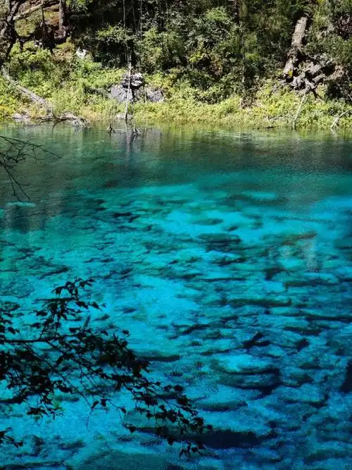 九寨沟里的水有多蓝,照片不骗人,就拍出来这么蓝