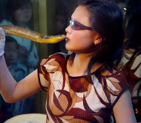 美女与蛇(胆小莫入)