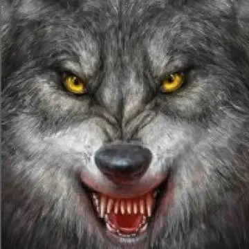 霸气凶残的狼的头像壁纸