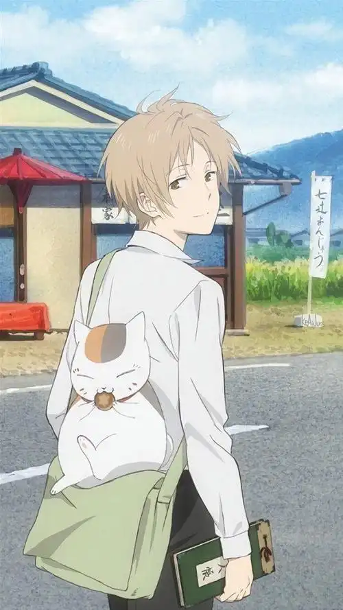 夏目友人帐:一只被封印的猫和外婆的友人帐