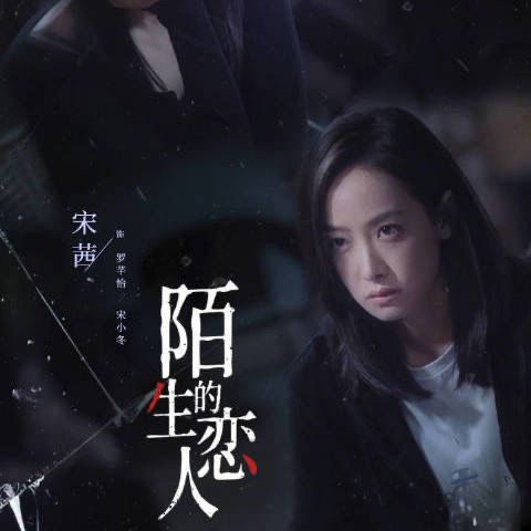 【陌生的恋人】宋茜,欧豪,张赫电视剧碟片dvd