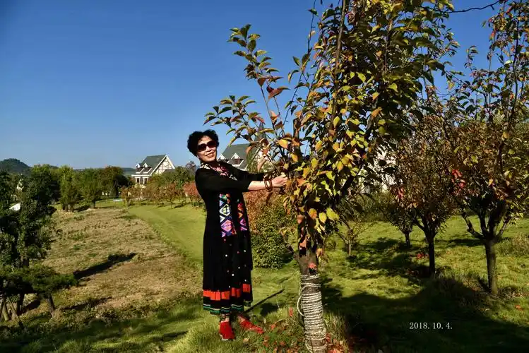 我开心我快乐,每天保持好心情!