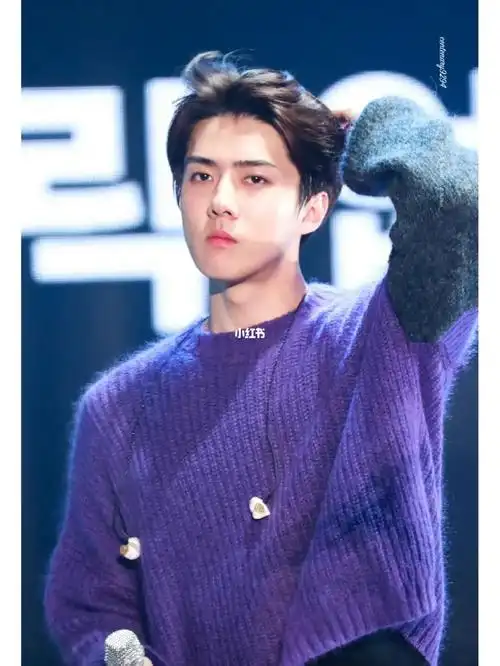 想建一个吴世勋的唯粉群,会审核(世勋超话8级),平常在群里随意聊天