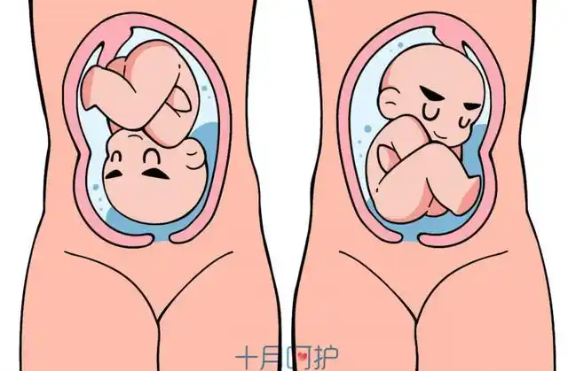 "胎儿入盆"这个关键期,做好这一点让你顺产时少受罪!_宝宝