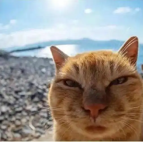 那些沙雕微信好友们.关掉朋友圈避免无效社交不要总盯着别人的朋友圈.