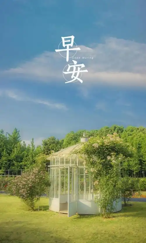 早安你好养眼迷人的风光
