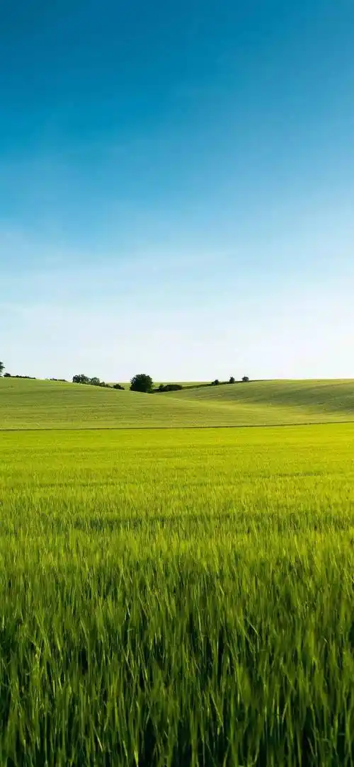 抖音壁纸丨超美抖音壁纸