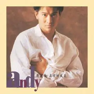 刘德华真我的风采