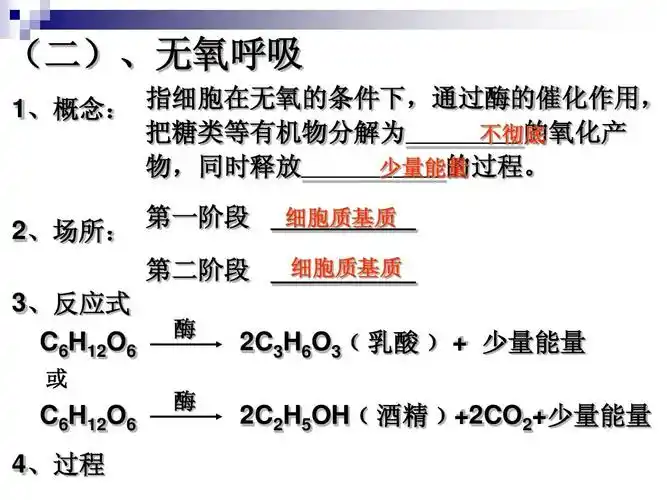 高中教育 理化生 细胞呼吸和光合作用复习专题答案ppt (二),无氧呼