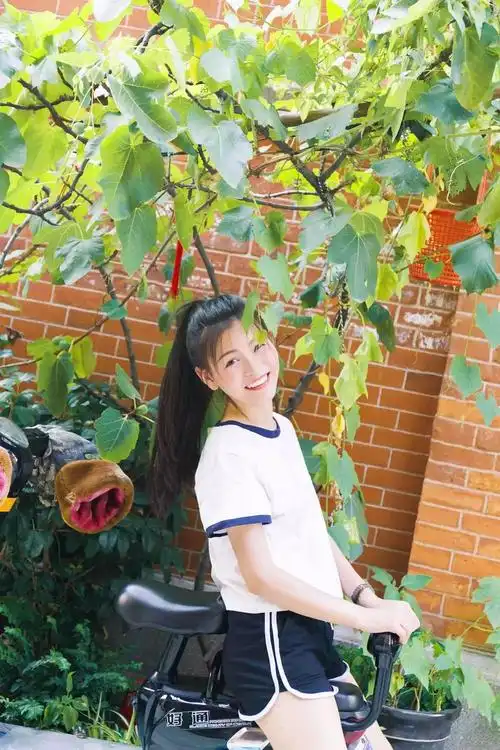 小七经济学院外国语言文学学院顾乔中国语言文学系闵瑞新闻学院普娜尔