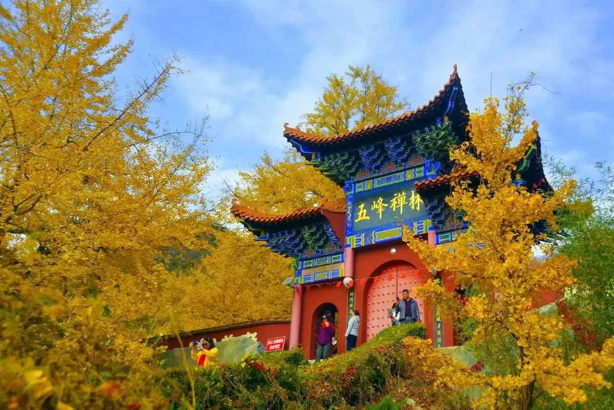 遵化禅林寺古银杏之旅攻略.10月下旬,迎来遵化禅林寺风景园最 - 抖音