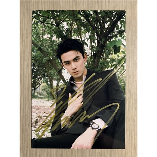 冲冠内地吴磊亲笔签名照片24款定妆照6现货无仿无印刷 款式1