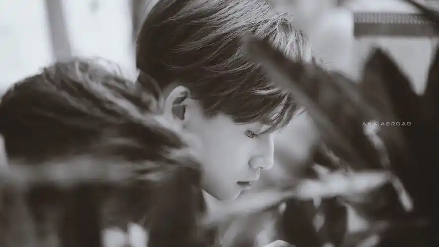 小鬼王琳凯 - 堆糖,美图壁纸兴趣社区