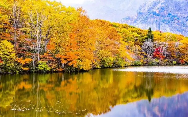 十二生肖中未来1年财星高照好运随之而来不缺钱财的生肖
