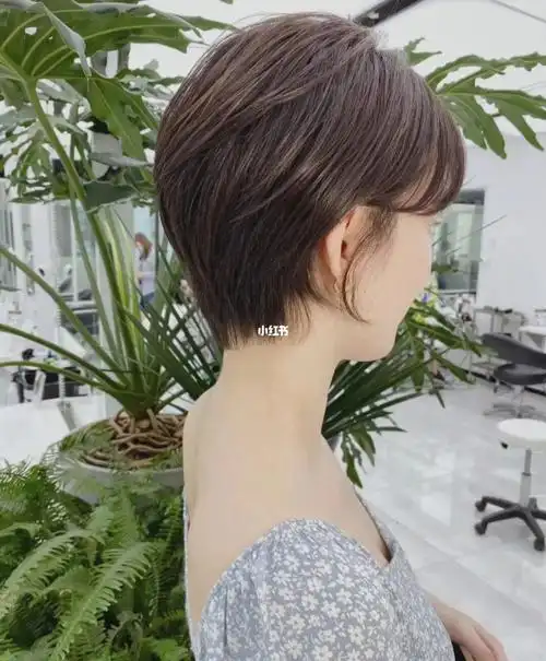 细软的头发,发量是少的,留长发是没有发型的剪短了,会增加头发的量感