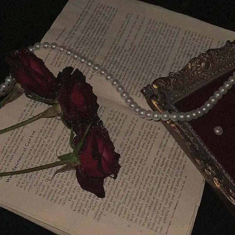 ins丧系背景图丨那一刻我会带着玫瑰离开… 连崩溃都要考虑后果的人