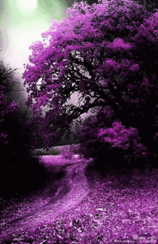 420_648竖版 竖屏gif 动态图 动图