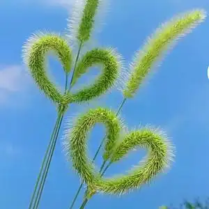 下一站是幸福头像