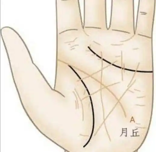 如果加之智慧线弯曲到月丘,则是浪漫富有女人味的女性.