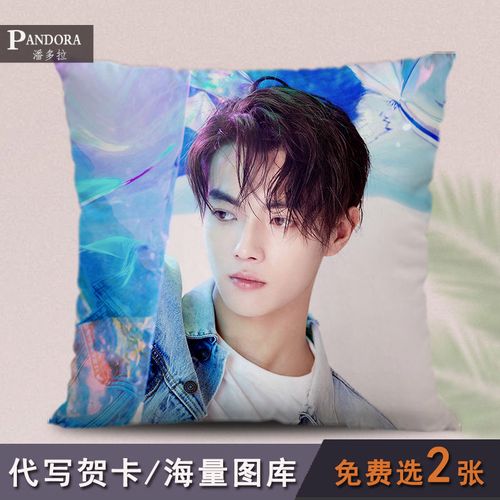 招摇电视剧同款抱枕被子两用双面白鹿许凯来图定制汽车靠枕头包邮