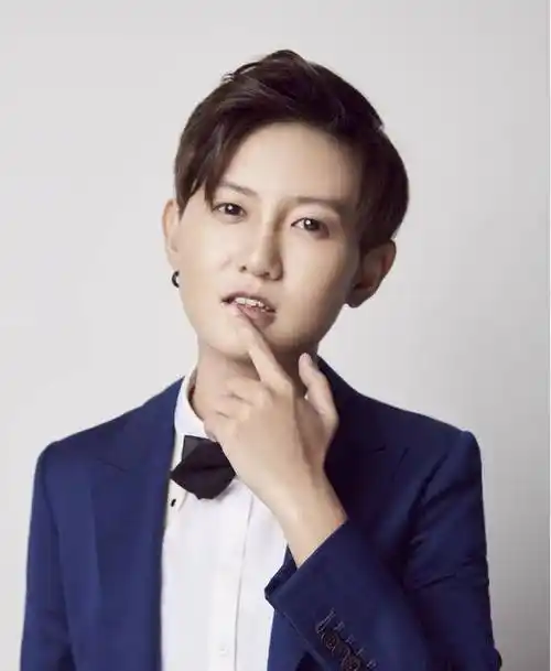 最惨快女冠军段林希,成到开出租车为生,上节目无一人认出