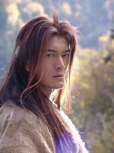 【杂谈】金庸小说中人物的武功排名是这样的 - 第211页 - 理想论坛 中