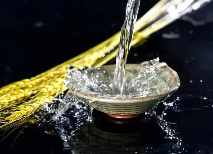 诗中的酒请一饮而尽