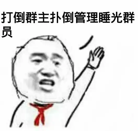 打倒群主扑倒管理睡光群员(举手)表情包 - 日常表情包