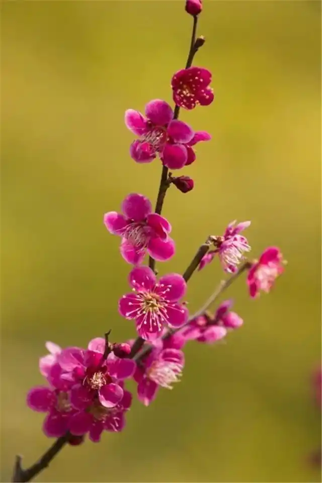 640_960竖版 竖屏