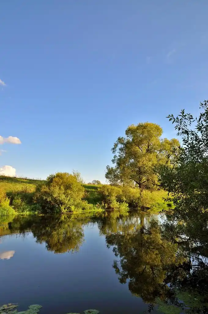 小河,夏天风景与蓝多云的天空, 河流, 树木和草
