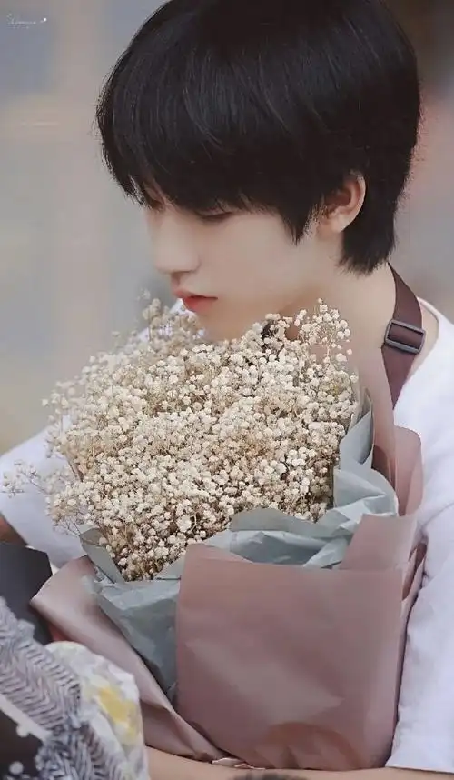 时代少年团|贺峻霖壁纸