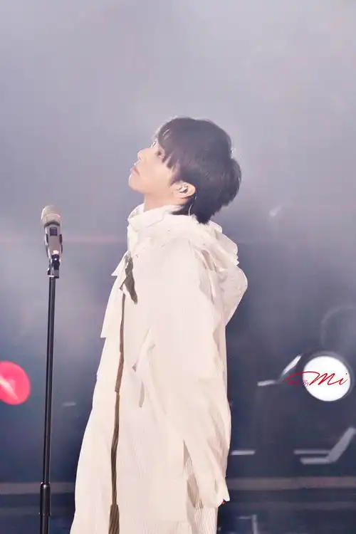 华晨宇发型进化史