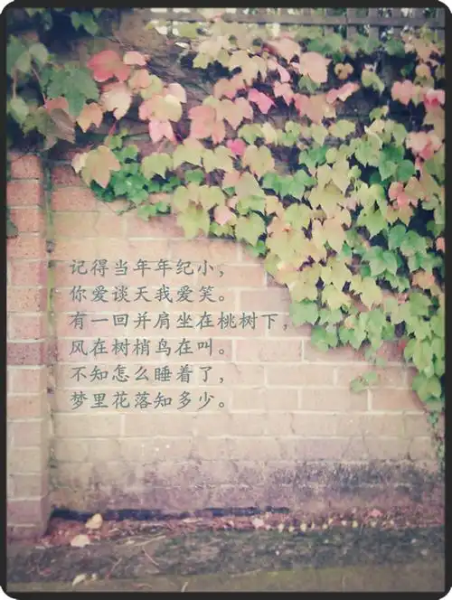 记得当时年纪小,我爱谈天你爱笑.