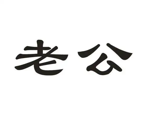 商标文字老公商标注册号 51952732,商标申请人白山市百盛园食品有限