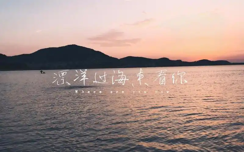 【洞箫】演奏《漂洋过海来看你》-凤箫和鸣