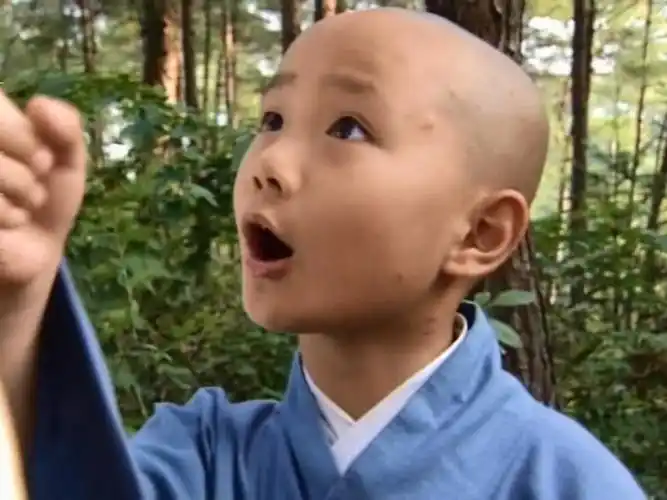 童星再就业遇尴尬曹骏回应有落差但必须直面现状