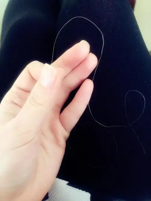 今天揪出了一根白发( .