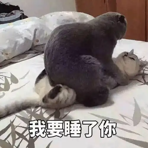 小招.的相册-神奇的表情包,斗一天不冷场【持续更新】