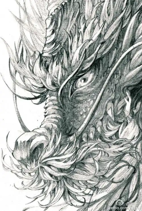 龙的素描