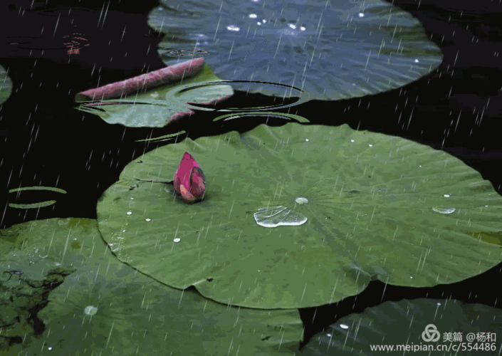 903_640gif 动态图 动图