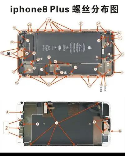 iphone苹果8p内部螺丝详细分布图
