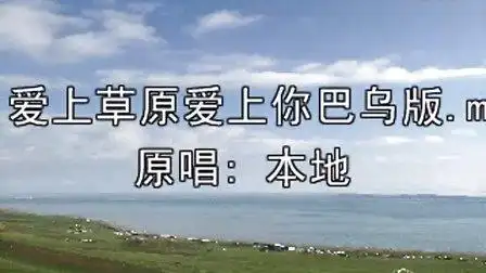 爱上草原爱上你巴乌版