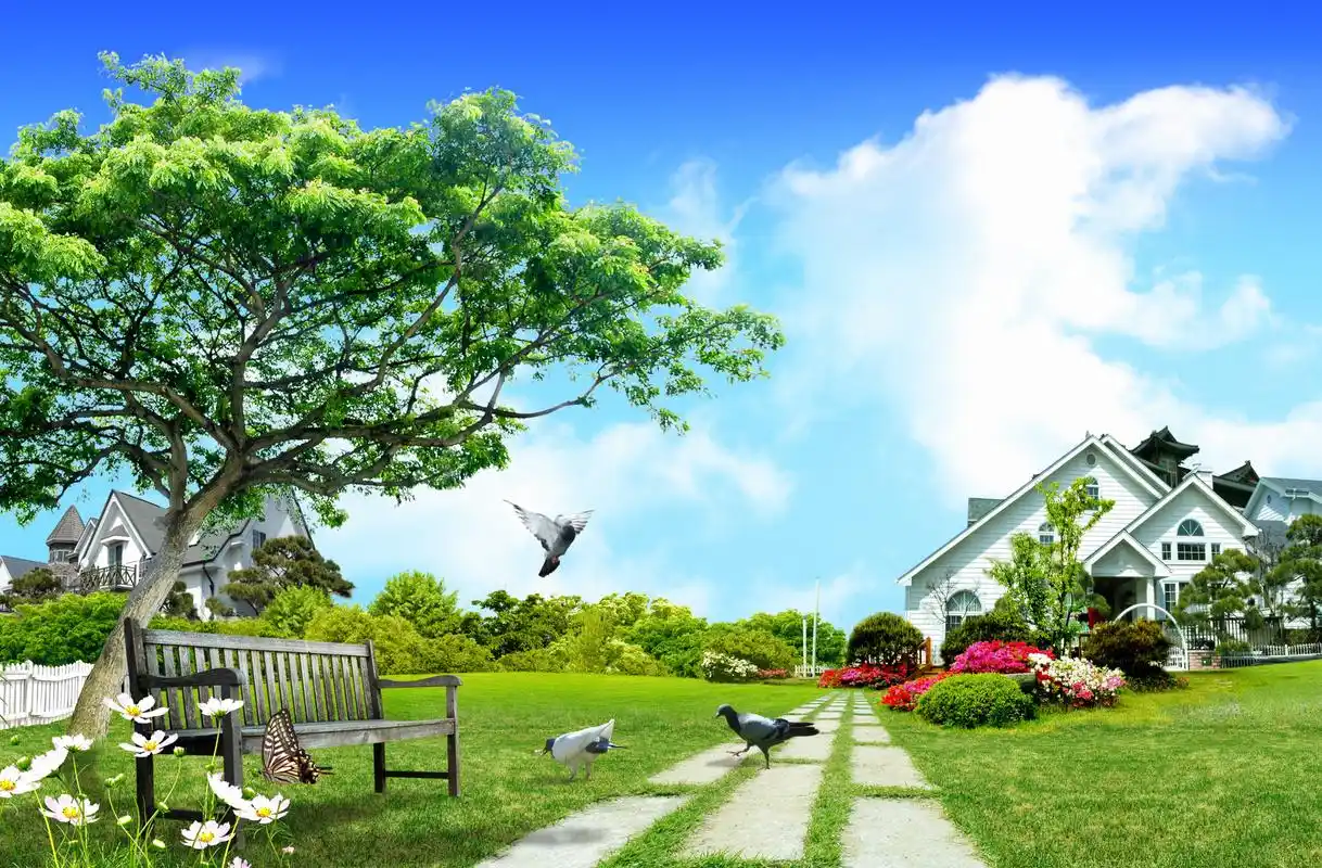 高清大图素材摄影韩式自然背景图24