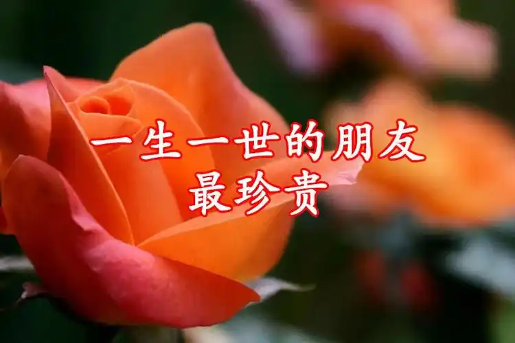 一生一世的朋友最珍贵!