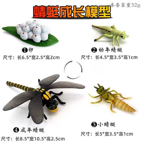 仿真科教昆虫动物蜻蜓飞虫模型玩具青蛙成长进化蝴蝶儿童益智礼物