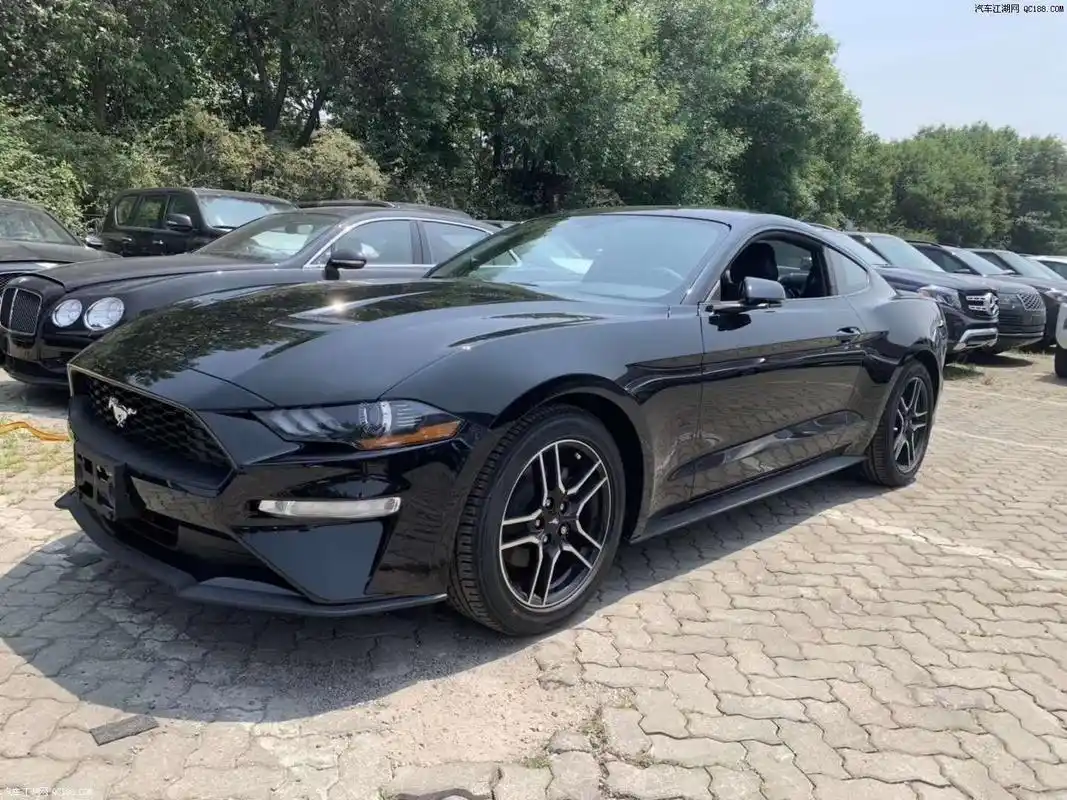 尾标gt是什么跑车?