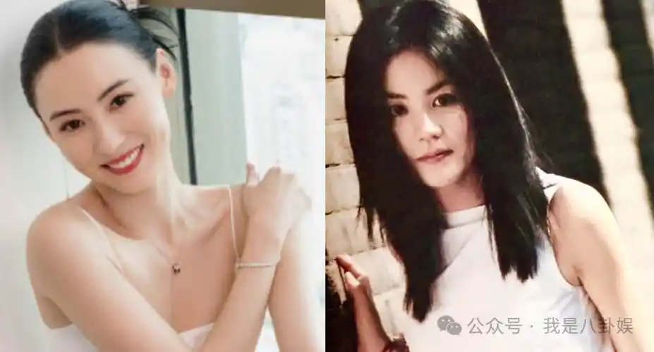 原创锋菲恋终于落幕张柏芝母凭子贵谢贤要求张柏芝谢霆锋复婚家产留给