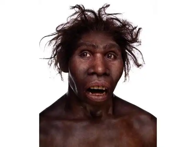 试听180秒【演化26】疯狂原始人