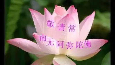 无尽的感恩.d67_手机乐视视频