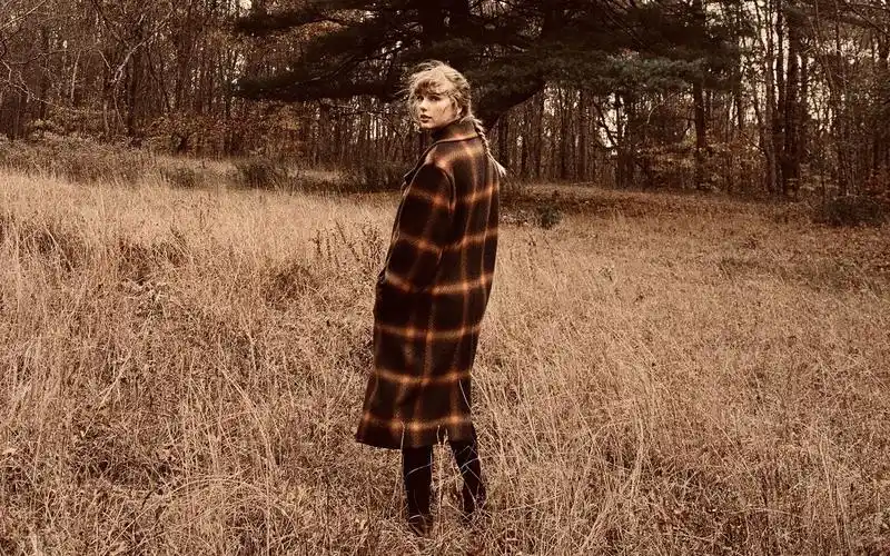 【taylor swift】willow原版demo 官方伴奏_哔哩哔哩 (゜-゜)つロ